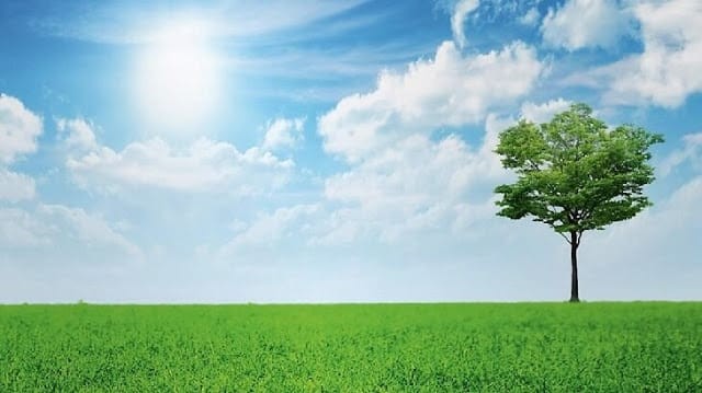 بحث علمي عن البيئة بحث علمي عن البيئة