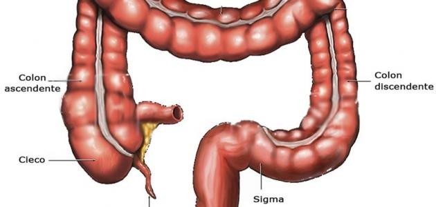 كيفية تشخيص الزائدة الدودية كيفية تشخيص الزائدة الدودية