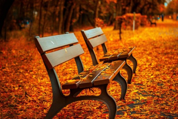 مميزات فصل الخريف