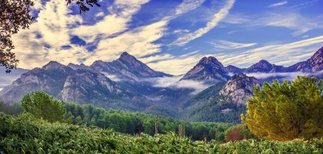 ماهي معايير جودة الهواء