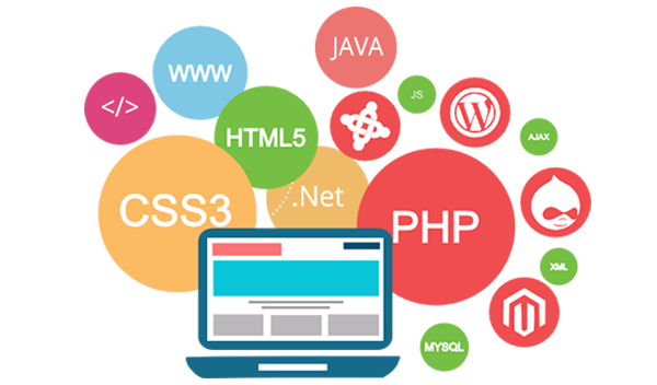 كيف تعرف لغة البرمجة المستخدمة لأي موقع