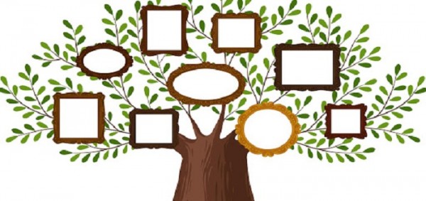 طريقة معرفة شجرة العائلة طريقة معرفة شجرة العائلة