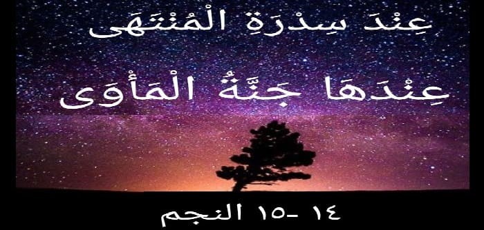 الفرق بين المثوى والمأوى