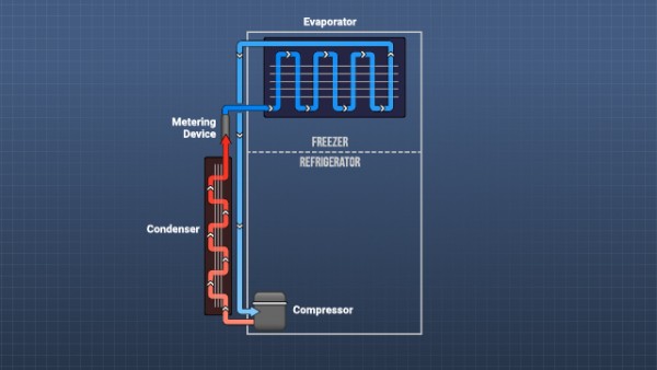 ماهي مكونات الثلاجة