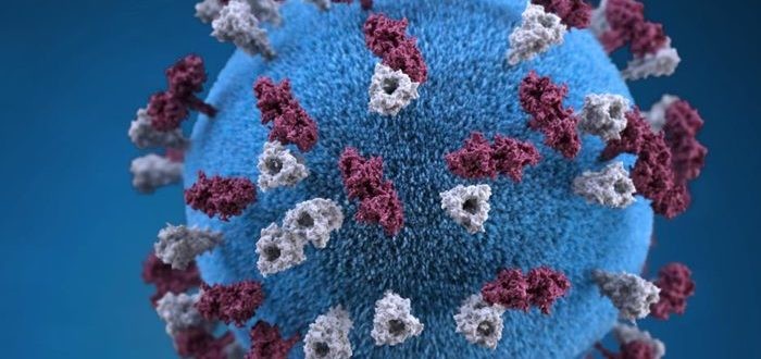 مما يتكون الفيروس