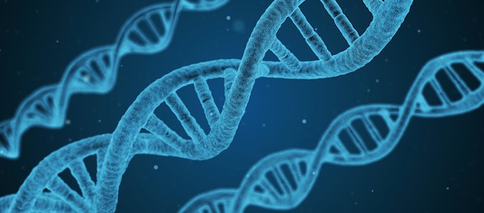 الفرق بين الوراثة المندلية والغير مندلية الفرق بين الوراثة المندلية والغير مندلية