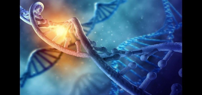 اسئلة ذكاء في العلوم