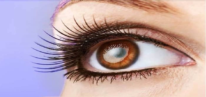 كيف اخلي رموشي مرفوعه