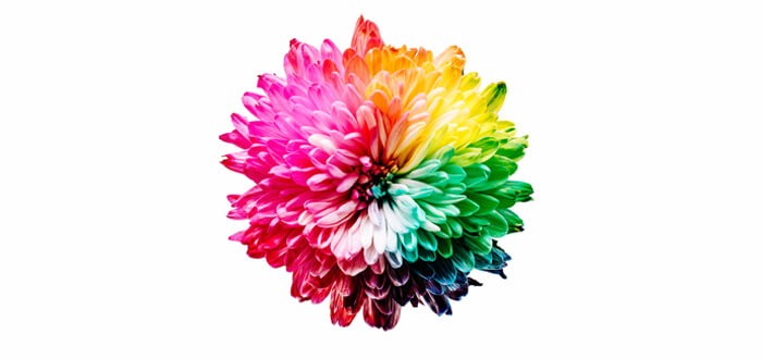 تأثير الألوان على نفسية الإنسان