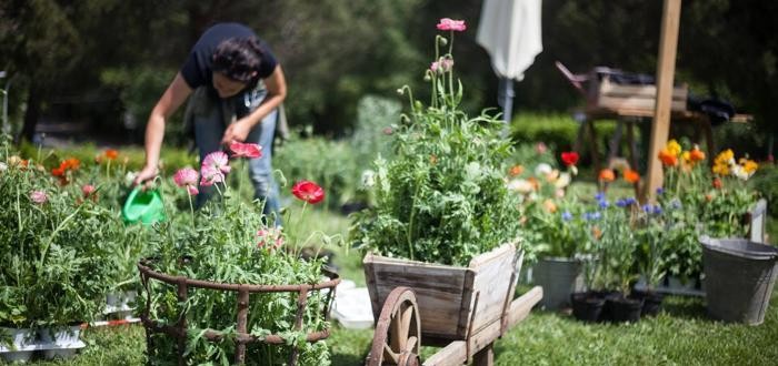 كيف تعمل حديقة منزلية