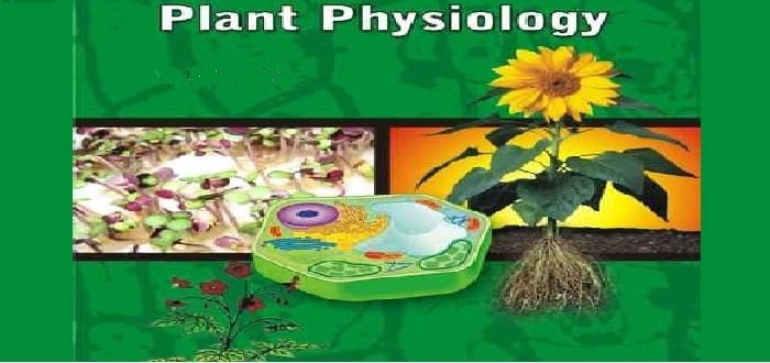 أهمية علم فسيولوجيا النبات