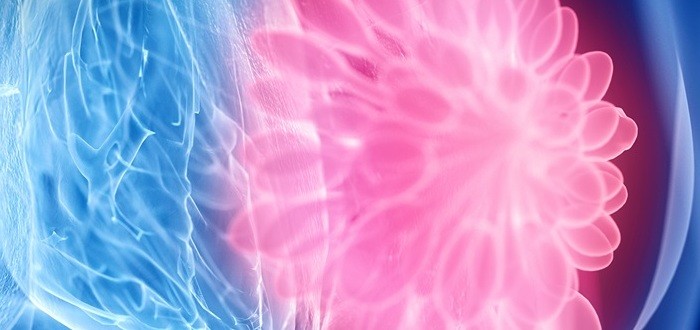 المعدل الطبيعي لهرمون الحليب