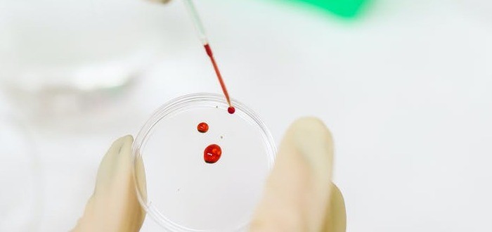 مما يتكون الدم