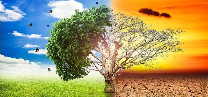 تأثير الاحتباس الحراري على البيئة