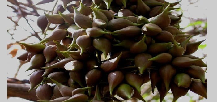 الفرق بين الصبر والمر