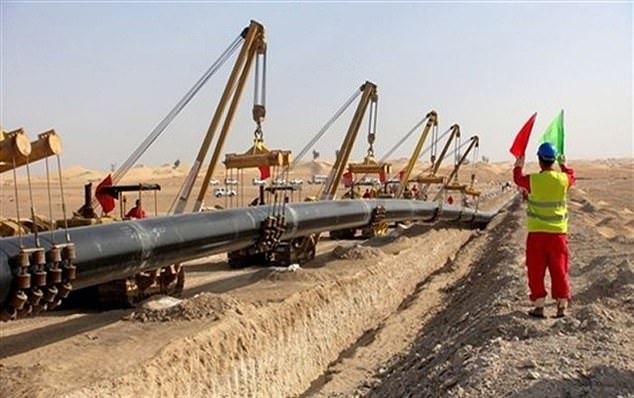 سبب ظهور فيروس العين الدامية سبب ظهور فيروس العين الدامية