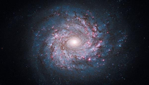 مظاهر عظمة الله في خلق الكون