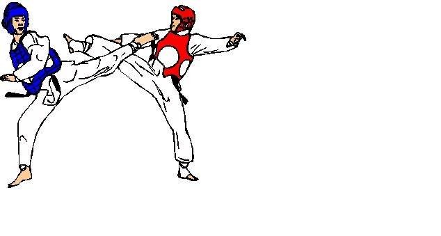 أنواع الفنون القتالية