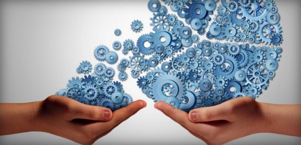 مفهوم شركات التضامن