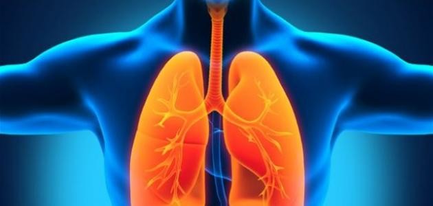 كيف يتم سحب الماء من الرئة