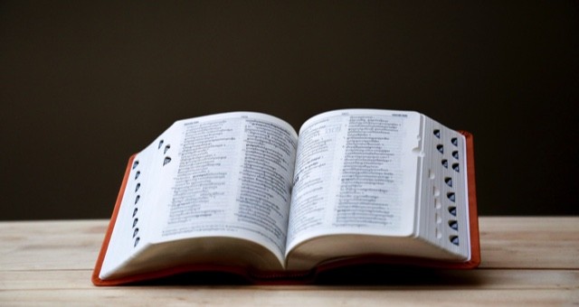 ما هي انواع القواميس