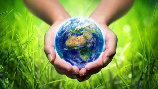 ما هي الموارد الطبيعية