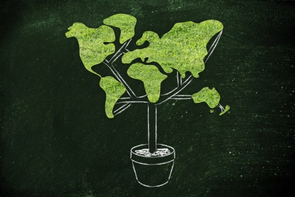 مفهوم الاقتصاد الأخضر