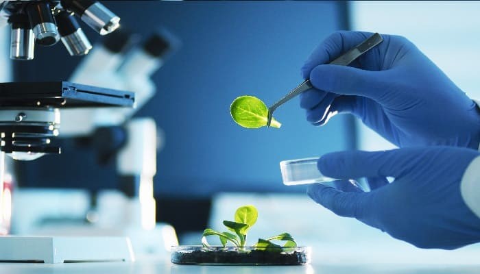 تخصص التكنولوجيا الحيوية