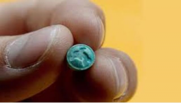 ماهي حبوب الفيل الأزرق DMT