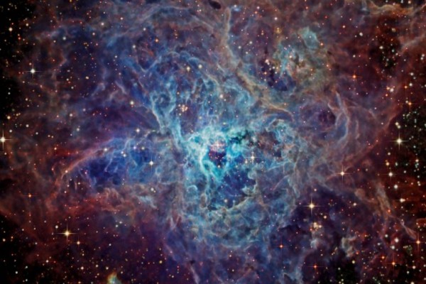 ما هي الشبكة الكونية