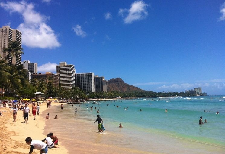 بحث عن البيئة الساحلية