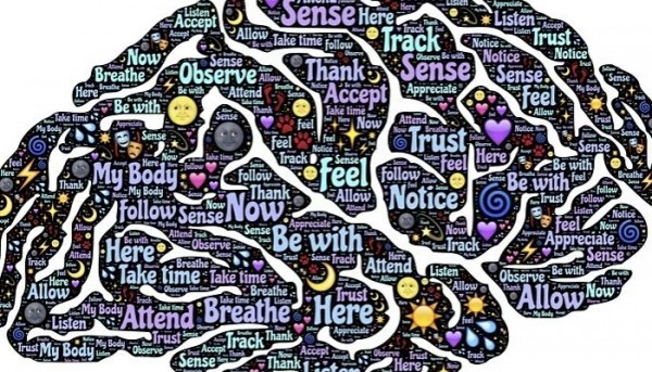 ماهي المبادئ العقلية الأولية