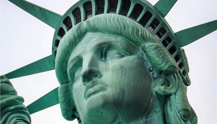 دور الأميركيين الأفارقة في الحرب العالمية الأولى