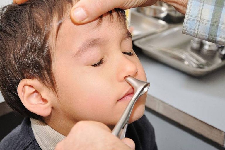 هل يستطيع النمل الدخول من الانف