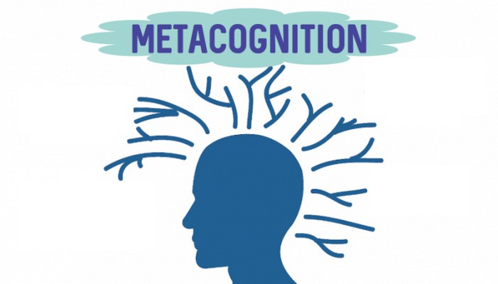 انواع استراتيجيات ما وراء المعرفة