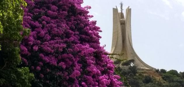 أجمل الأماكن السياحية في الجزائر