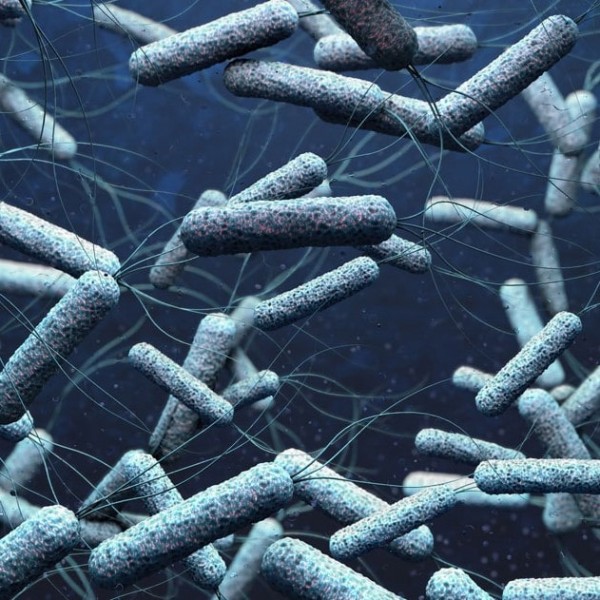 كيفية علاج مرض الكوليرا