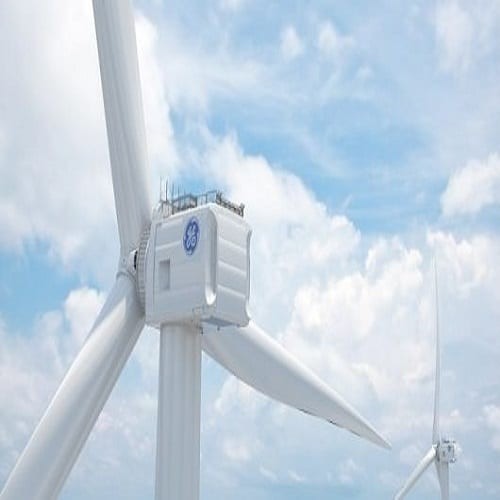 العنفات تعرف على أنواعها وبنيتها