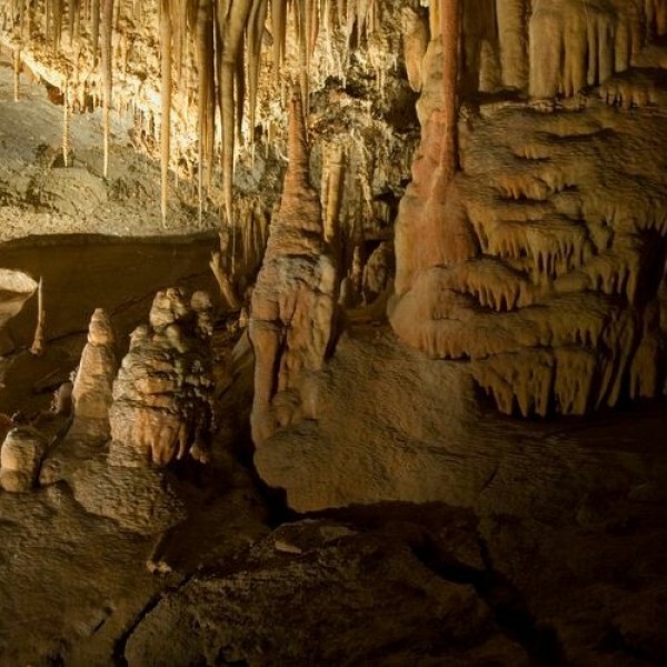 ما هي الصواعد