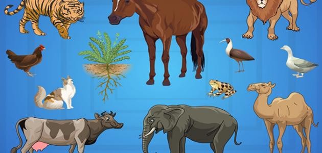 أهمية طبقة التروبوسفير بالنسبة للكائنات الحية