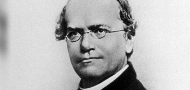 تقرير عن حياة عالم الوراثة مندل تقرير عن حياة عالم الوراثة مندل