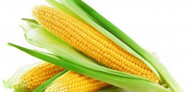فوائد الذرة للرجيم