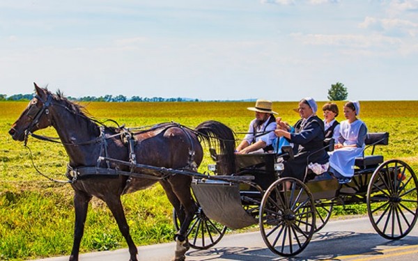 الآميش: مسالمون يعيشون في أجواء الماضي ويتحاشون الحداثة
