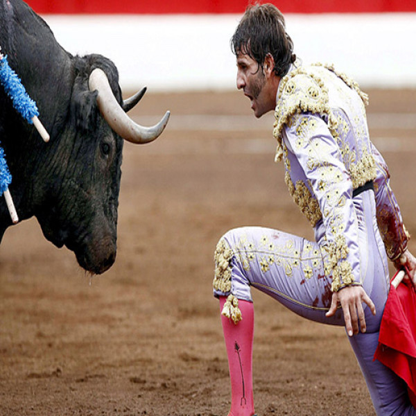 معلومات حول مصارعة الثيران