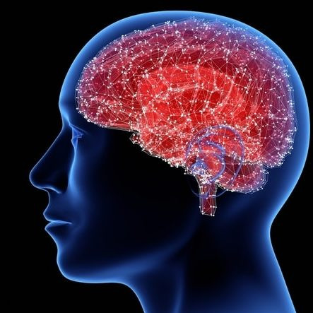 ذاكرة الانسان