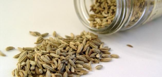 فوائد شرب الشمر على الريق