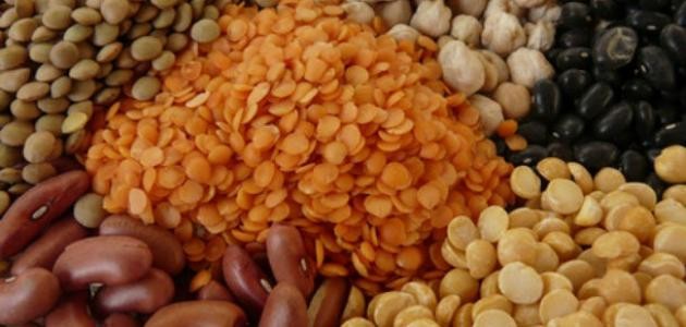 ما هي مصادر البروتينات