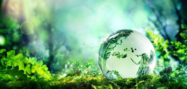 تعريف البيئة