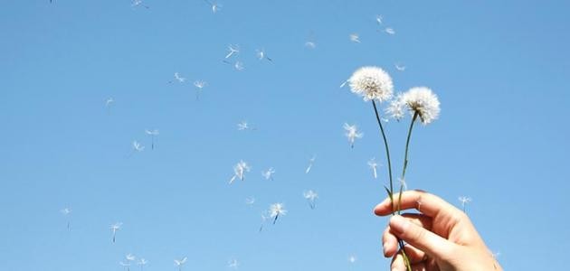 تعريف الحرية