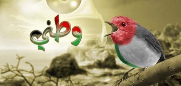 حكم عن الوطن حكم عن الوطن